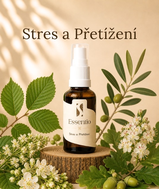 Bachovky Stress und Überlastung
