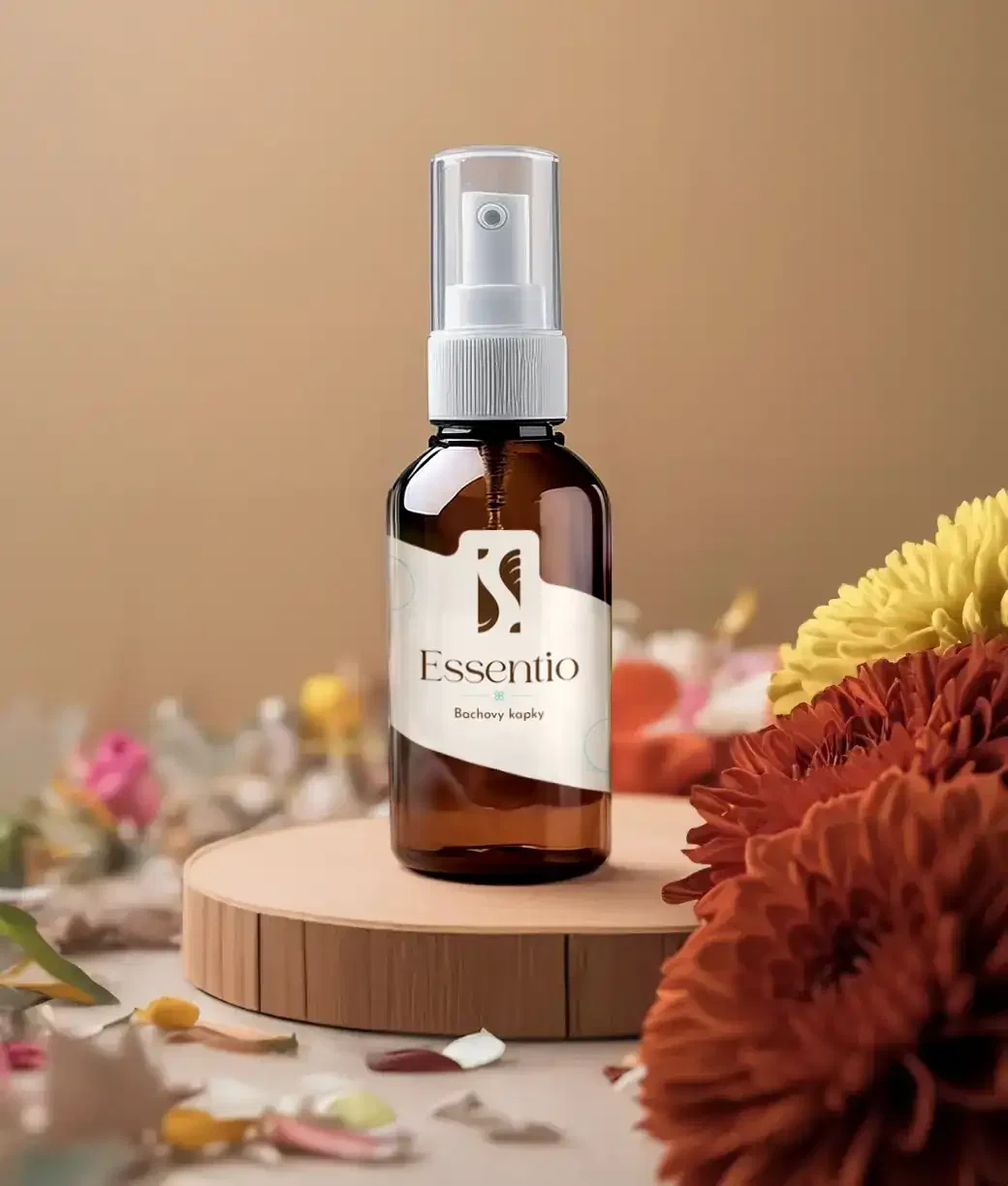 Bachovky- Restoration of Hope