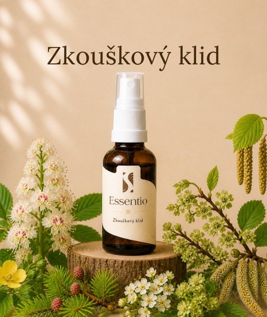 Bachovky- Prüfungsruhe
