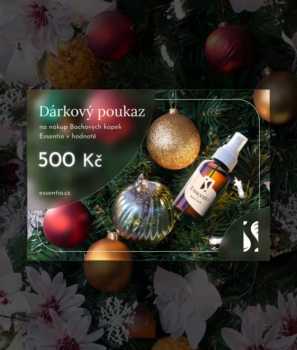 Bachovky- Christmas Gift Voucher 17 £