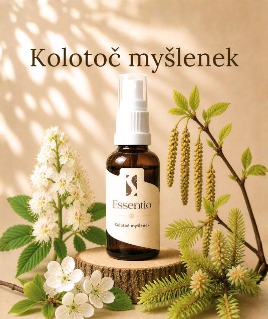 Bachovky Kolotoč myšlenek